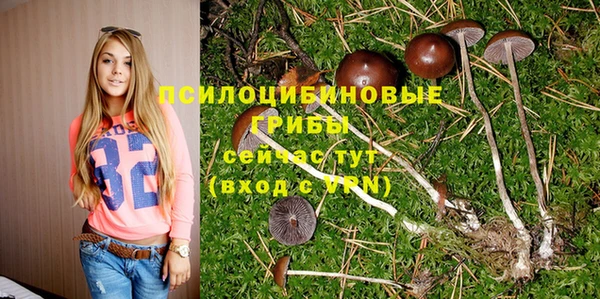 Альфа ПВП Мегион