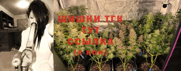 спиды Медвежьегорск